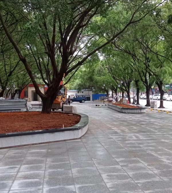 玉林公园城市交通设施提质增效项目（一期）111标施工在建