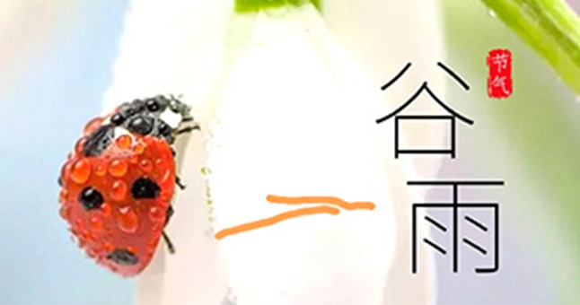 谷雨时节 宜 健脾化湿