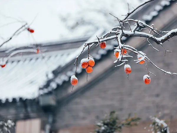 冬日如期到来 | 遇冬·温暖初冬